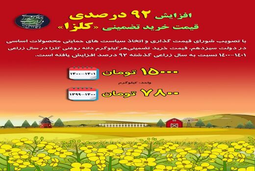افزایش قیمت کلزا در دولت سیزدهم