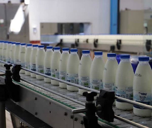 افزایش ظرفیت تولید شیر در آذربایجان‌غربی/ پیش‌بینی تولید ۴۱۸ هزار تن شیر تا پایان سال ۱۴۰۴