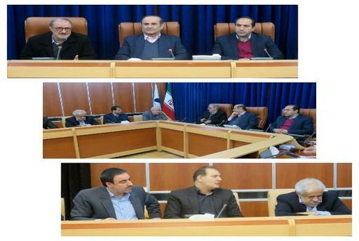 ️ سامانه گرمسیری در ایلام حدود ۳۰ هزار هکتار است