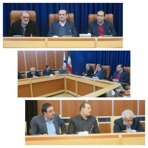️ سامانه گرمسیری در ایلام حدود ۳۰ هزار هکتار است