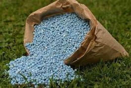 توزیع 109  هزار تن کود کشاورزی از استان بوشهر به اقصی نقاط کشور 