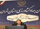 صادرات بیش از 4700 تن صیفی‌جات از گلخانه‌های استان تهران به روسیه
