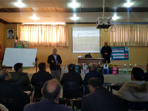 باغداران طارم سفلی قزوین با آخرین روش‌های مدیریت آب و تغذیه زیتون آشنا شدند