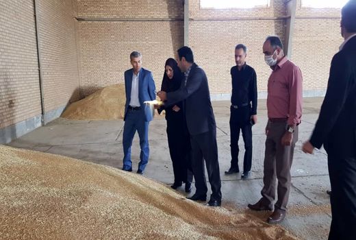 ۲۶ مرکزخرید محصول کشاورزان استان را تحویل می گیرند