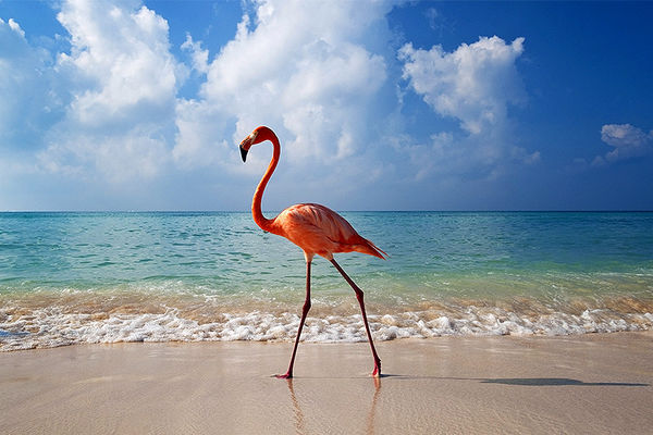 دی‍پلماسی خشکسالی میان ایران و آمریکا