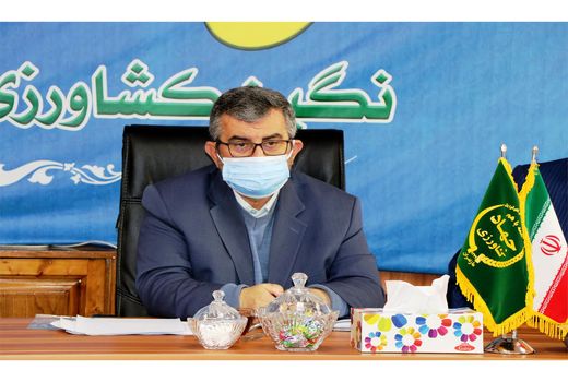 راه‌اندازی زنجیره ارزش محصولات زنبور عسل در مازندران