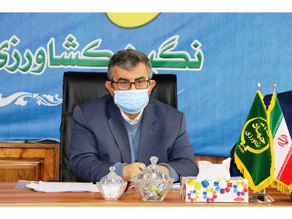 راه‌اندازی زنجیره ارزش محصولات زنبور عسل در مازندران
