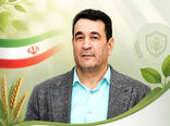 پیشگیری و اقدام به‌موقع، کلید حفاظت از محصول گندم در برابر زنگ زرد