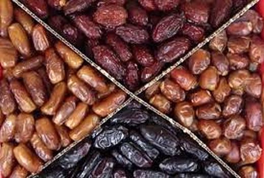 ظرفیت سردخانه‌های خرما در استان بوشهر ۳.۵ برابر شد 