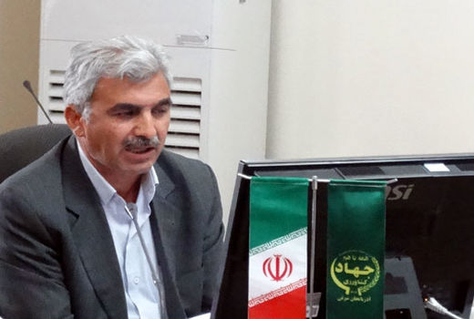 برداشت سیر از مزارع آذربایجان شرقی آغاز شد