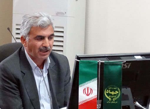 برداشت سیر از مزارع آذربایجان شرقی آغاز شد