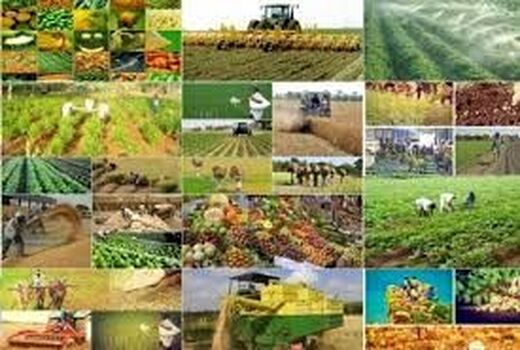 متوسط قیمت محصولات و هزینه خدمات کشاورزی در بهار ١٤٠٠