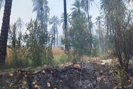 35 هزار هکتار مناطق جنگلی استان سمنان در موقعیت بحرانی آتش‌سوزی