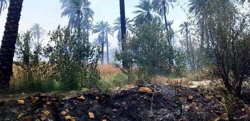 35 هزار هکتار مناطق جنگلی استان سمنان در موقعیت بحرانی آتش‌سوزی