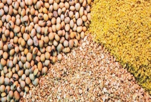 بیش از ۱۱۳ هزار تن نهاده دام و طیور در کردستان توزیع شد