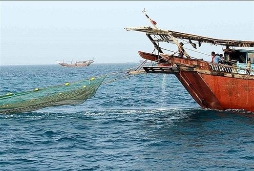 بیش از ۱۵۰۰ قایق از بنادر استان بوشهر برای صید میگو راهی دریا شدند