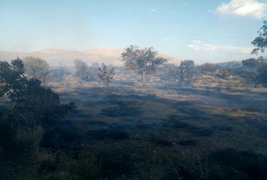 با داده‌های فضایی، آتش‌ پارک گلستان را کنترل کردیم