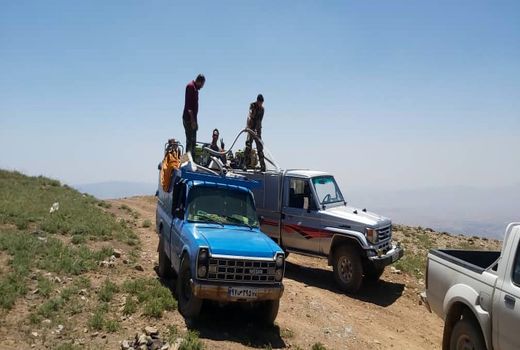 بیش از 5هزارهکتار از سطوح شهرستان دماوند تحت دیدبانی ملخ بومی قرار گرفت