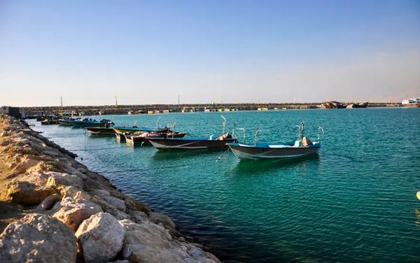دریابست در صیدگاههای میگو اجرا میشود/ نتایج مثبت طرح سراسری دریابست در خلیج فارس