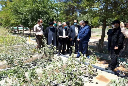 توسعه نهال‌کاری موجب غنای جنگل‌های ایلام می‌شود