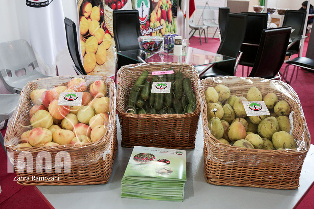 سومین نمایشگاه بین‌المللی‌ باغبانی