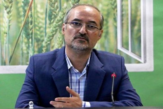 استقبال کشاورزان از اجرای طرح پایلوت الگوی کشت در استان قم