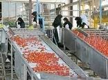 صادر شدن 190 جواز تاسیس و پروانه بهره‌برداری صنایع تبدیلی و غذایی