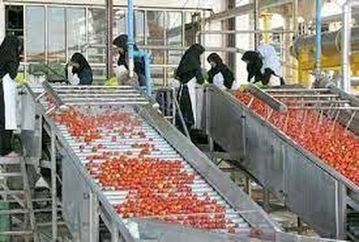 صادر شدن 190 جواز تاسیس و پروانه بهره‌برداری صنایع تبدیلی و غذایی