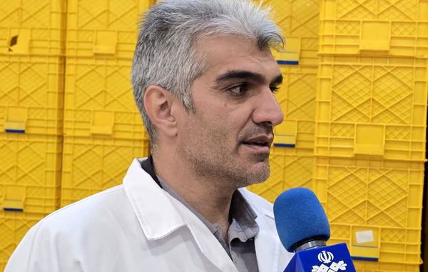 تکمیل زنجیره ارزش ماهیان سردآبی در چهارمحال و بختیاری/ اشتغالزایی برای ۱۵ هزار نفر