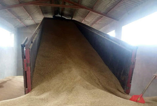 توزیع بالغ بر1700 تن نهاده دامی در شهرستان خداآفرین در شش ماهه اول سال 1400