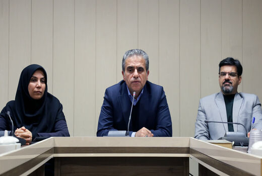 ظرفیت تولید صنایع تبدیلی و تکمیلی کشور ۹۵ میلیون تن است