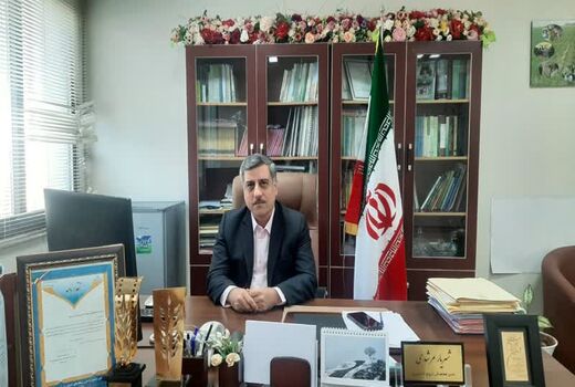 طرح دستیابی به پتانسیل عملکرد گندم در بوشهر اجرا می‌شود