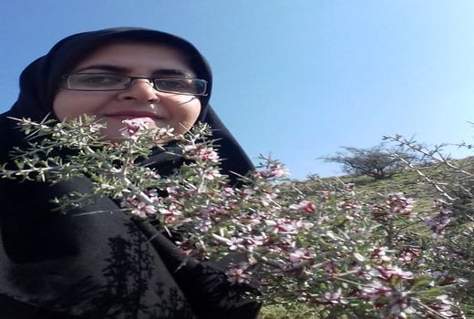 بهره‌برداری از مراتع ایران، قدمتی برابر با تاریخ ملتمان دارد/ یگان منابع طبیعی در خط مقدم مقابله با آتش‌سوزی مراتع