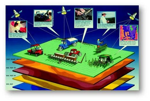 چالش‌های خاک در خوزستان: شوری، فرسایش و تغییر کاربری اراضی