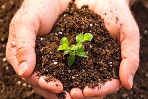 تدوین آیین نامه اجرایی قانون حفاظت از خاک تا ۶ ماه پس از ابلاغ