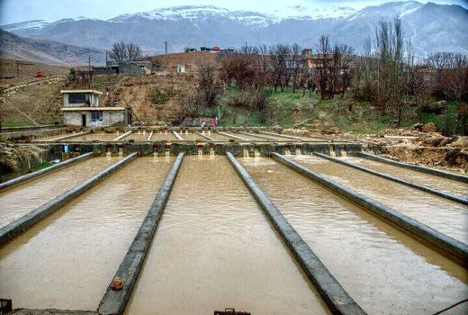 جهاد کشاورزی شهرستان کوهرنگ به حالت آماده باش درآمد 