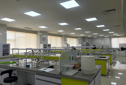 تحقیقات روی گیاهان هوشمند آغازشده است