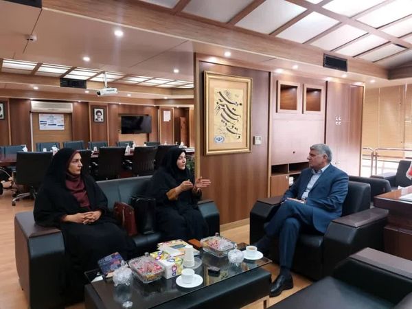 استفاده از ظرفیت بانک سپه برای حمایت از صندوقهای اعتبارات خرد زنان روستایی و عشایری