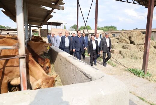 توسعه نژاد سرابی، سرمایه‌گذاری راهبردی برای آینده دامپروری پایدار