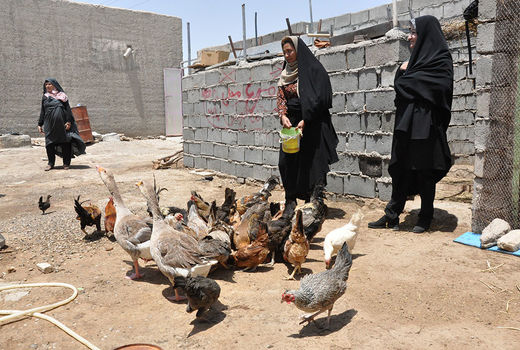 88 درصد صندوق خرد زنان روستایی درسیستان وبلوچستان فعال است