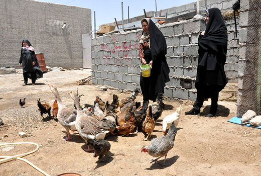 88 درصد صندوق خرد زنان روستایی درسیستان وبلوچستان فعال است