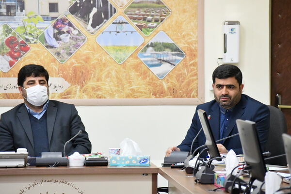 اجرای طرح جهش تولید در دیمزارهای آذربایجان شرقی با هدف تامین امنیت غذایی