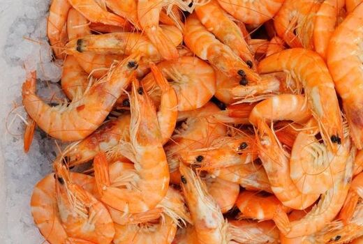 تولید متراکم میگو در اراضی بریس؛ الگوی گذر از تولید سنتی به نوین