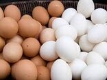 ۵۴ درصد تخم‌مرغ مصرفی کهگیلویه و بویراحمد تولید بومی است