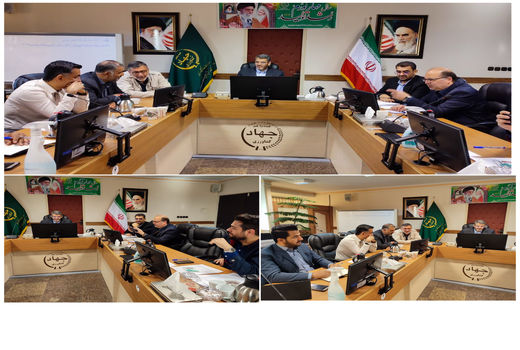 رفع تداخل ۸۶ درصد از اراضی کشاورزی استان تهران