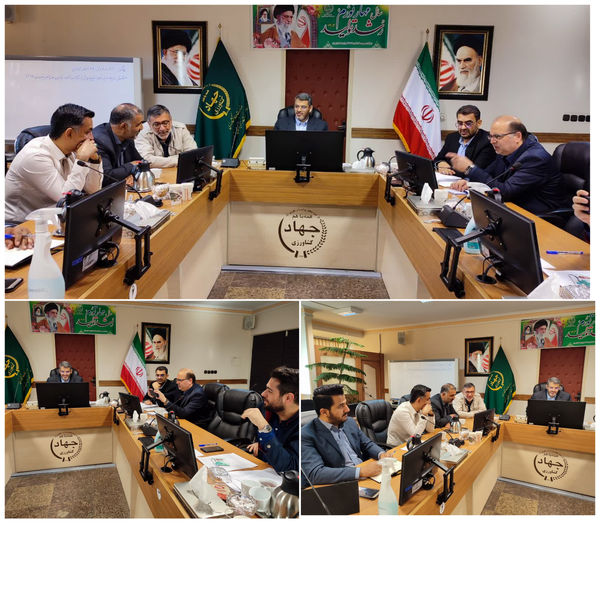 رفع تداخل ۸۶ درصد از اراضی کشاورزی استان تهران