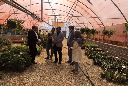 بررسی وضعیت گلخانه‌های روستای کرشت