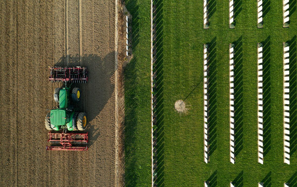 کشاورزان جدید نشاط را به کشاورزی مدرن در چین تزریق کردند