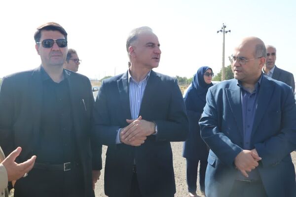 بازدید معاون وزیر جهاد کشاورزی از مزرعه تولید بذر ذرت قزوین 