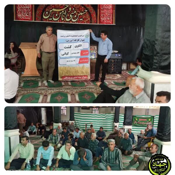 محدودیت کشت صیفی‌جات و محصولات جالیز در دشت بوشکان ابلاغ شد